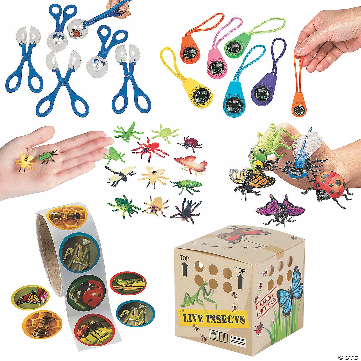 Cheapest π Backyard Adventure Kit for 12 π