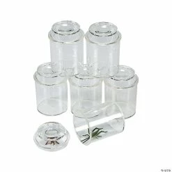 Buy ✨ See-Through Bug Jars - 10 Pc. 😍